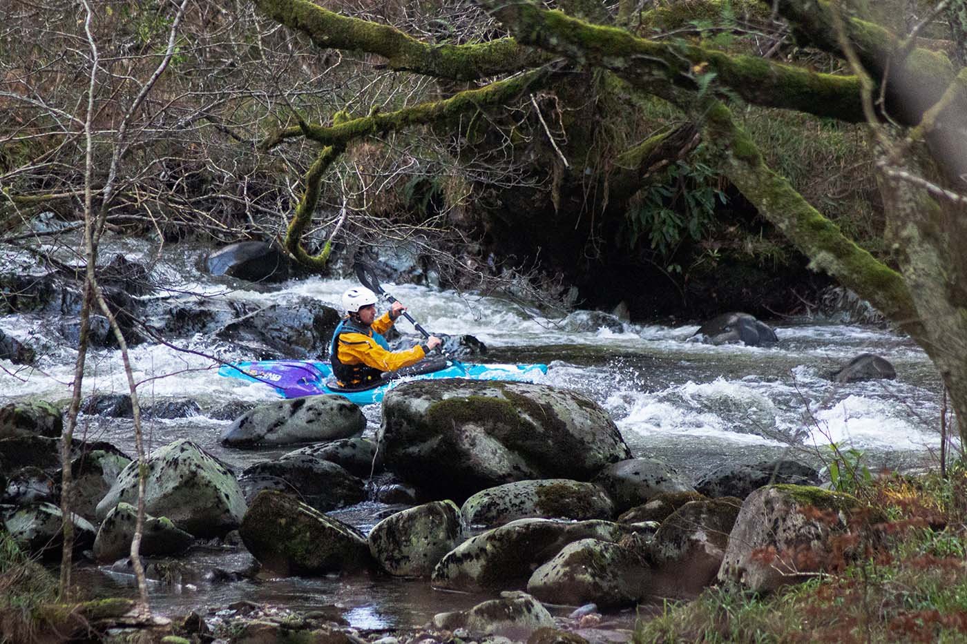 whitewater rafting northwest