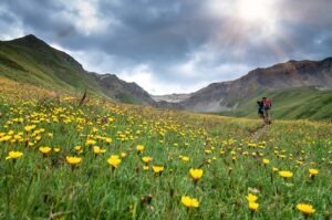 children hiking in a meadow