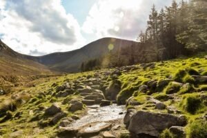 Irish landscape