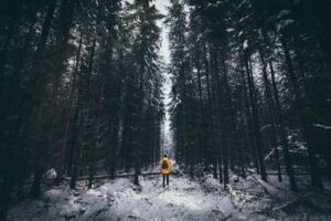 a hiker orienteering in a forrest