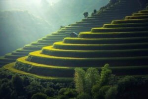 stairstep terrace in Thailand