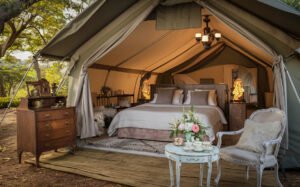 Touches of Home to add to your Glamping Tent-1